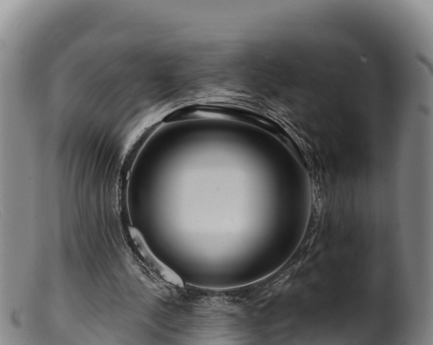 X0000099540244200805231134