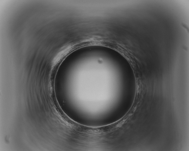 X0000099540245200805231134