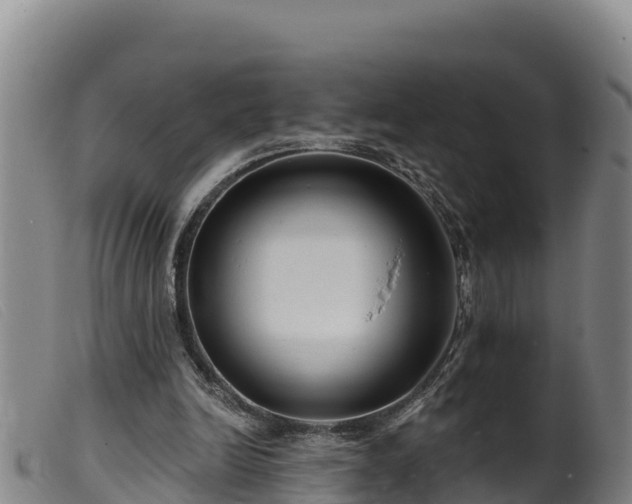 X0000099540246200805231134