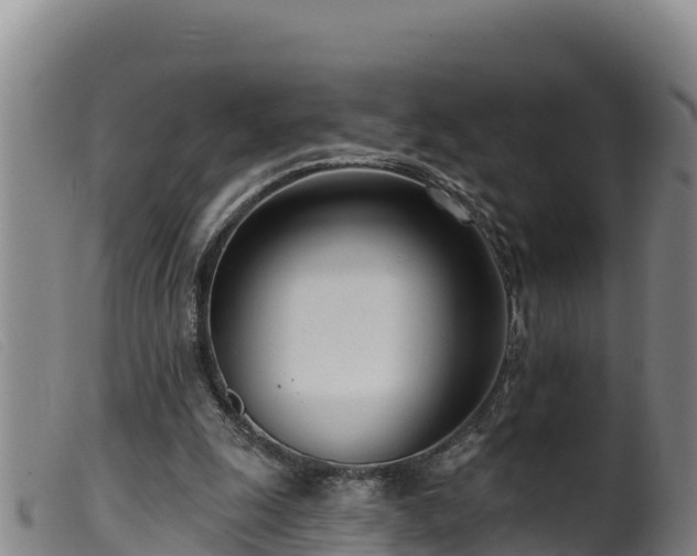 X0000099540247200805231134