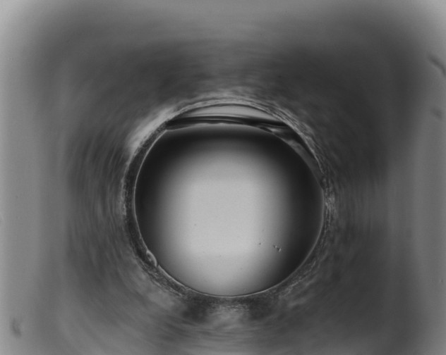 X0000099540248200805231134