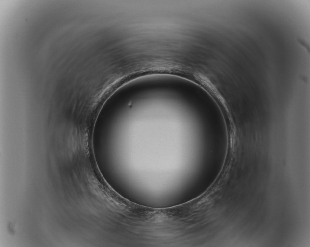 X0000099540249200805231134