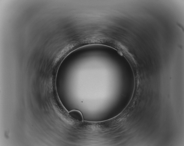 X0000099540250200805231134