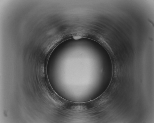 X0000099540251200805231134