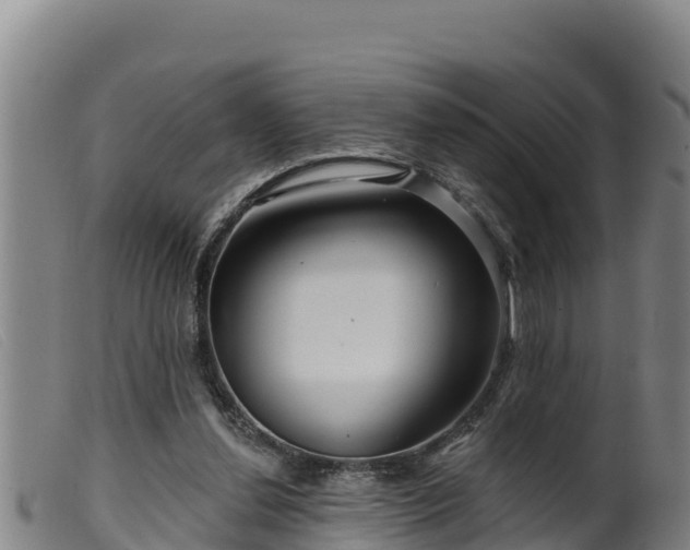 X0000099540252200805231134