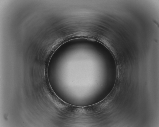 X0000099540253200805231134