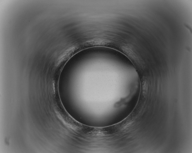 X0000099540254200805231134