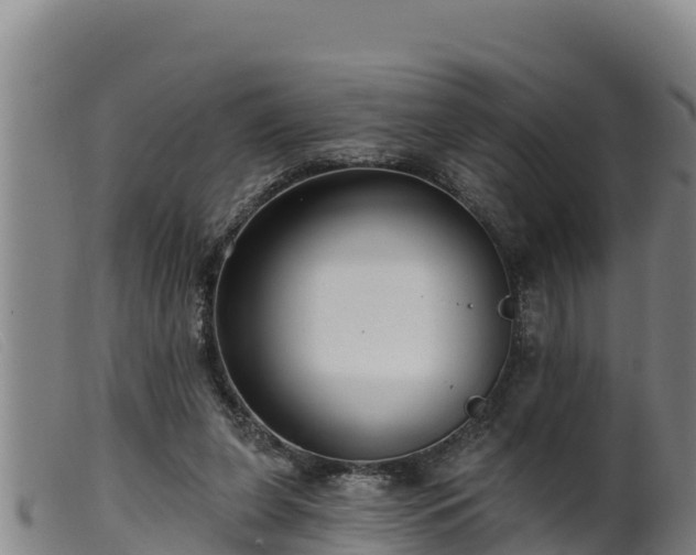 X0000099540255200805231134