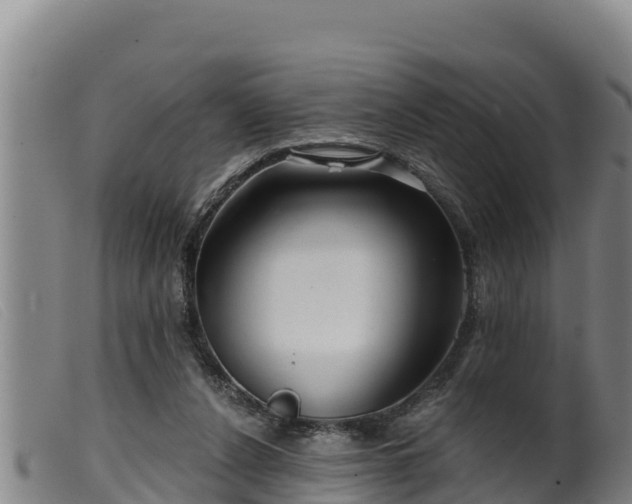 X0000099540256200805231134