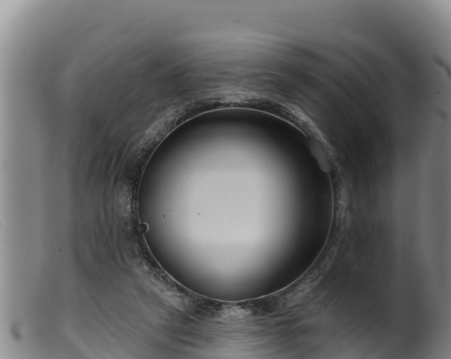 X0000099540257200805231134