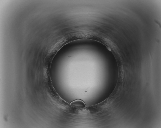 X0000099540258200805231134