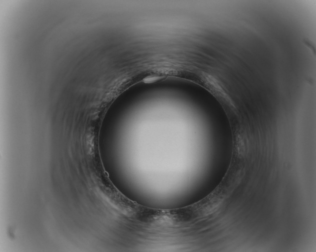 X0000099540259200805231134