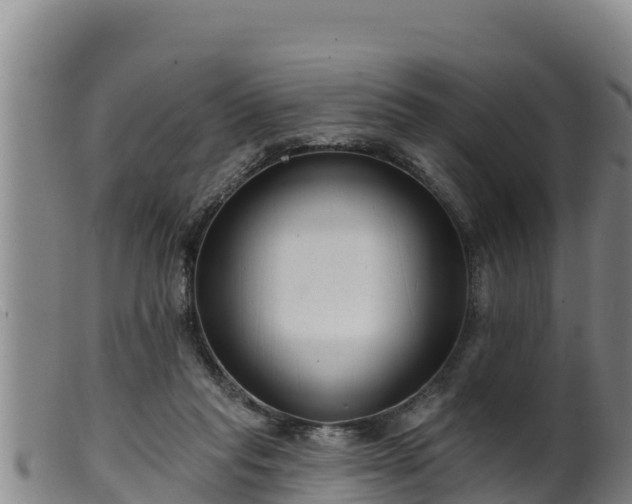 X0000099540261200805231134