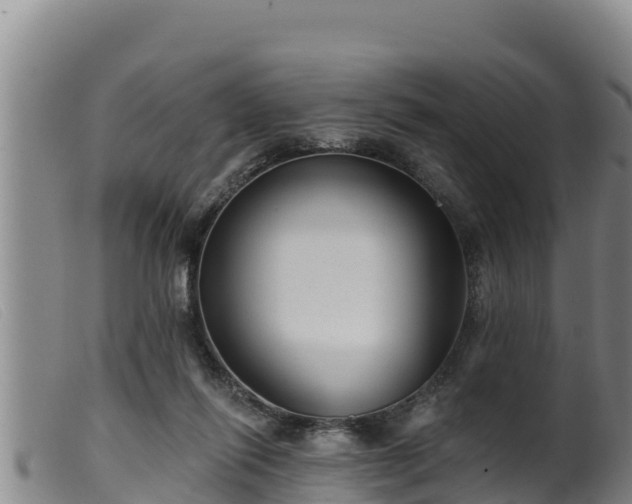 X0000099540262200805231134