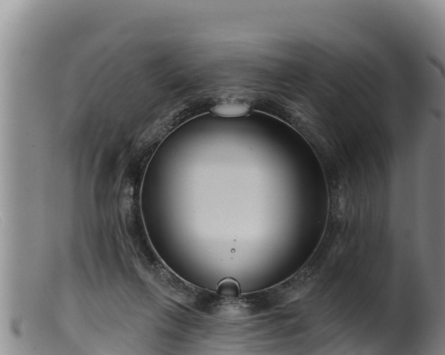 X0000099540263200805231134