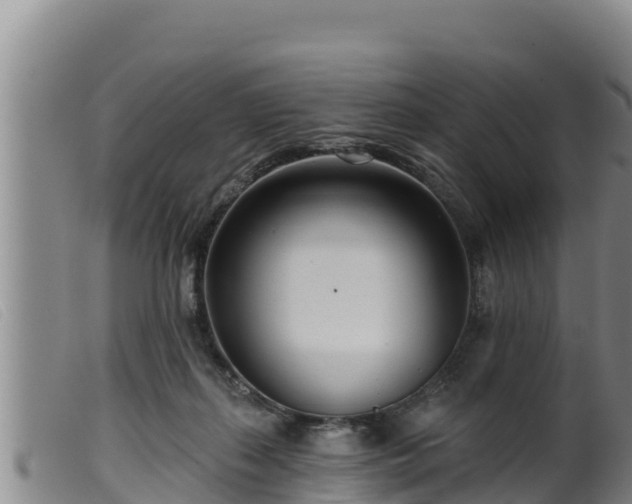 X0000099540267200805231134