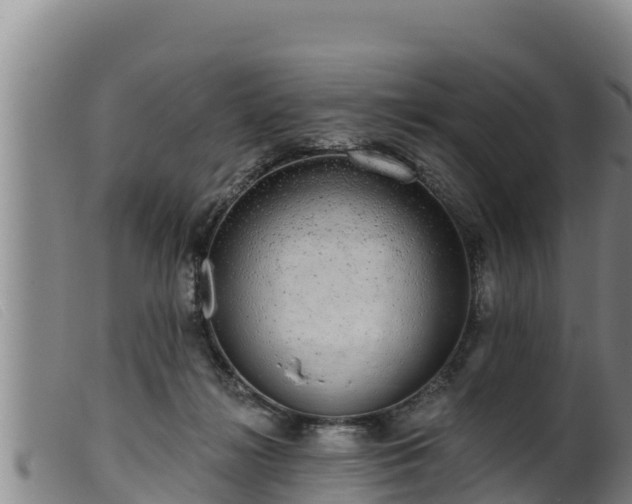 X0000099540268200805231134