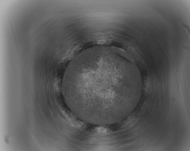 X0000099540272200805231134