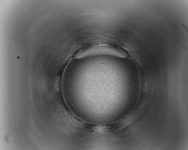 X0000099540273200805231134