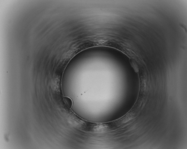 X0000099540274200805231134