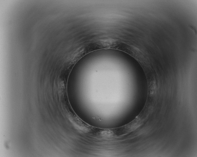 X0000099540279200805231134