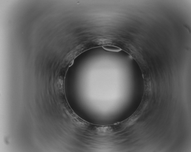 X0000099540281200805231134