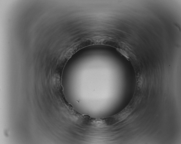 X0000099540283200805231134