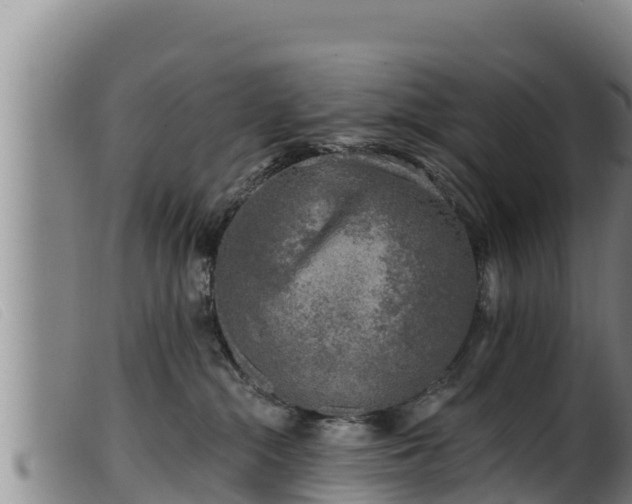 X0000099540284200805231134