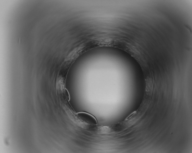 X0000099540287200805231134