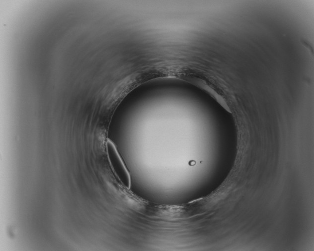 X0000099540288200805231134