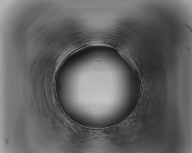 X0000099540289200805231133