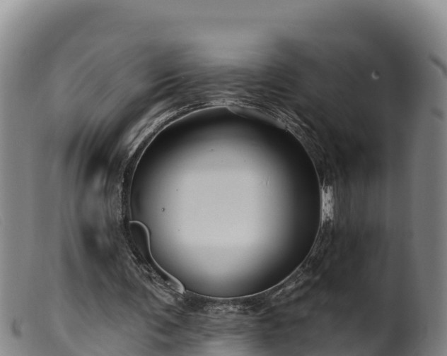 X0000099540291200805231133