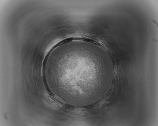 X0000099540292200805231133