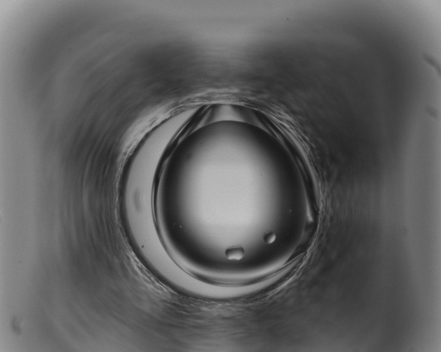 X0000099540293200805231133