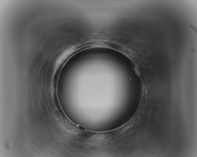 X0000099540294200805231133