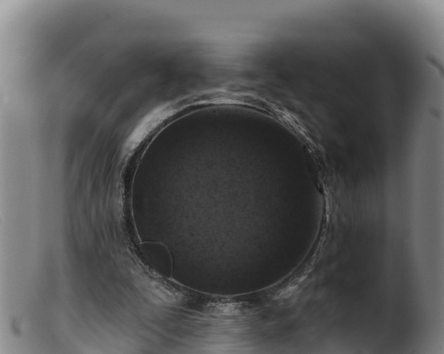 X0000099540295200805231133