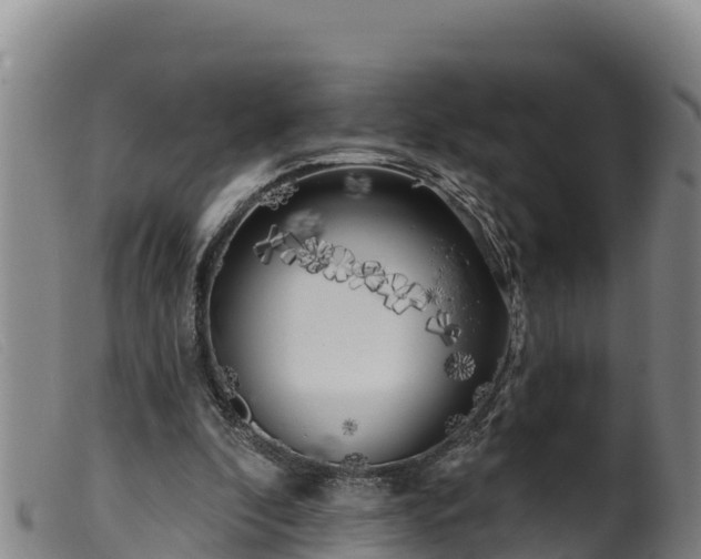 X0000099540296200805231133
