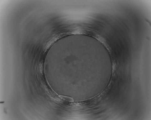 X0000099540297200805231133