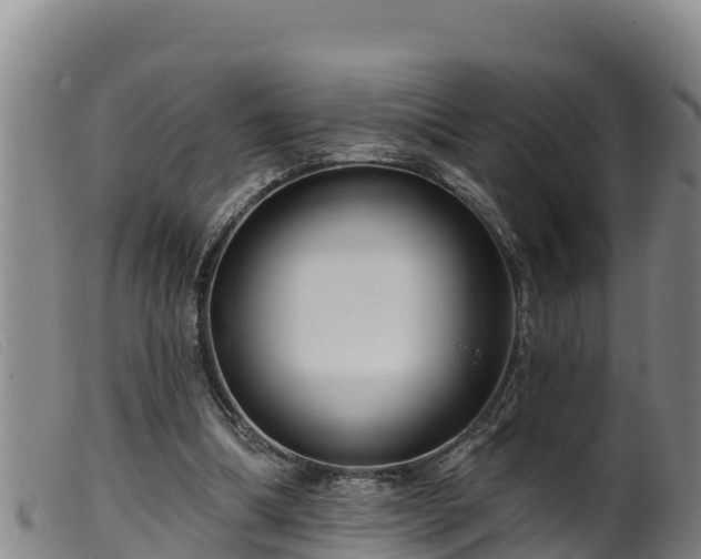 X0000099540298200805231133