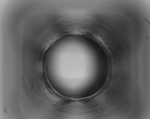 X0000099540299200805231133