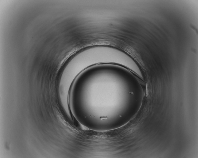 X0000099540300200805231133