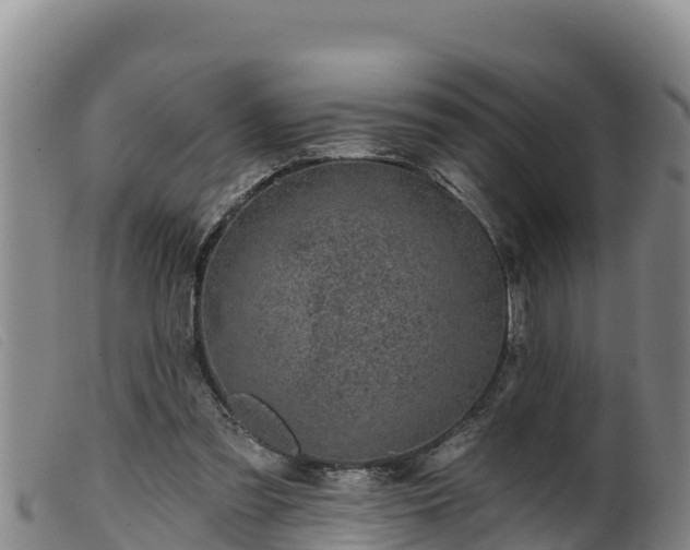 X0000099540301200805231133