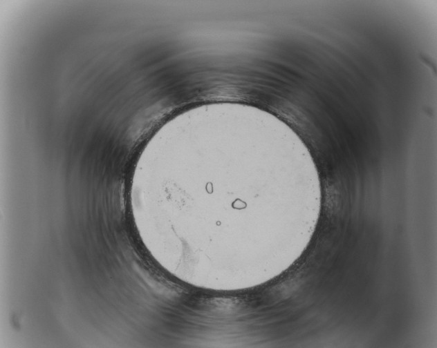 X0000099540302200805231133