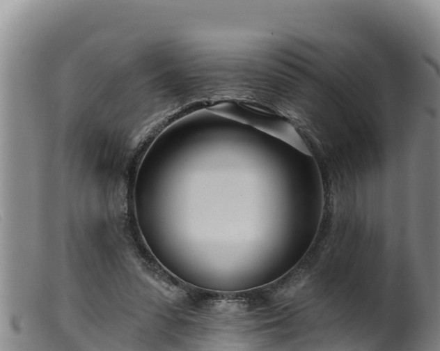 X0000099540303200805231133