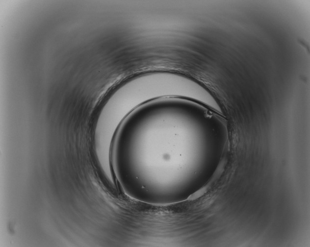 X0000099540304200805231133