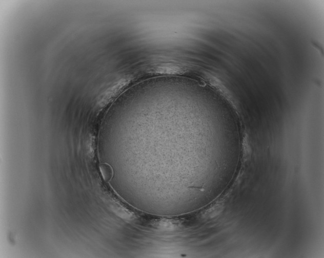 X0000099540305200805231133