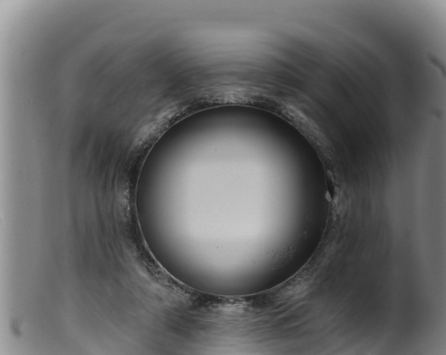 X0000099540306200805231133