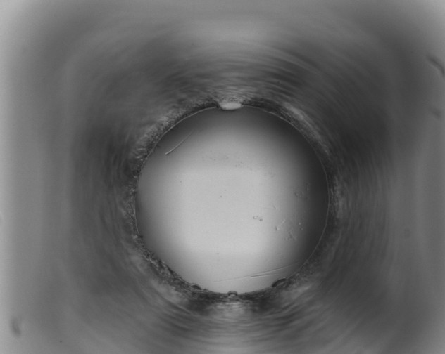 X0000099540307200805231133