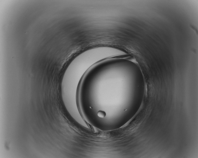 X0000099540308200805231133