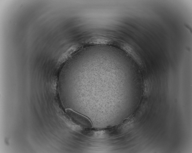 X0000099540309200805231133